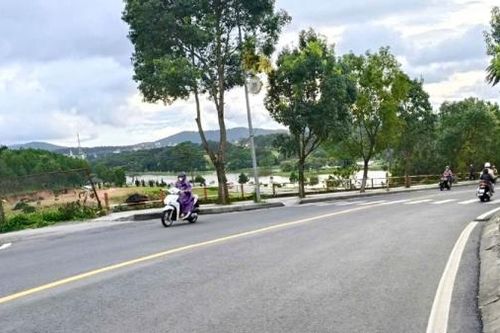Đà Lạt tích cực chuẩn bị cho Festival Hoa lần thứ X