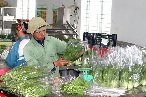 Rau an toàn Tứ Xã được công nhận là Hợp tác xã tiêu biểu toàn quốc
