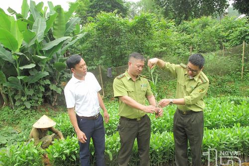 Thái Nguyên: Ban hành đơn giá bồi thường thiệt hại khi Nhà nước thu hồi đất