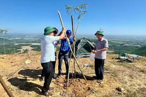 Xây dựng tuyến 'Đường hoa Hòn Vượn'