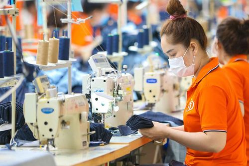 Chủ tịch Dệt may Thành Công (TCM): Lãi ròng quý 3 ước tăng 49%, doanh thu vượt mốc nghìn tỷ đồng