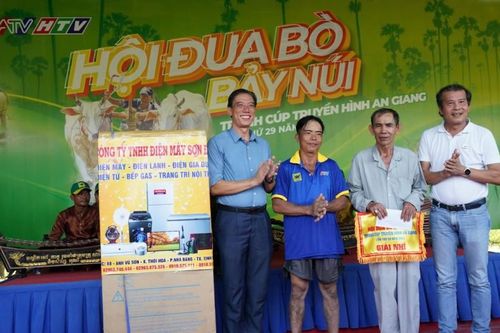 Công ty CP Phân bón Bình Điền đồng hành cùng Hội đua bò Bảy Núi, tỉnh An Giang năm 2024