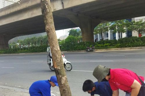 Lan tỏa ý thức bảo vệ môi trường