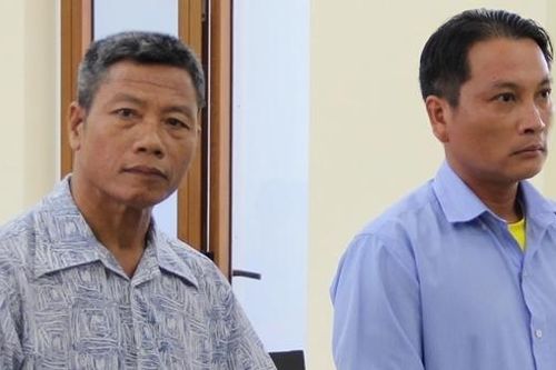 Nhận hối lộ của người phá rừng, kiểm lâm viên lãnh án