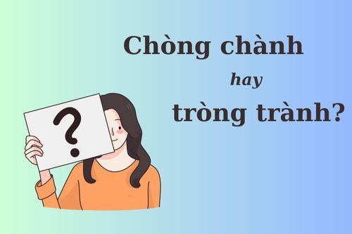 Nhiều người tranh cãi: 'Chòng chành' hay 'tròng trành'?