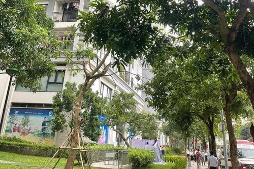 Bé trai 5 tuổi ở Hà Nội rơi từ tầng 22 chung cư xuống đất tử vong