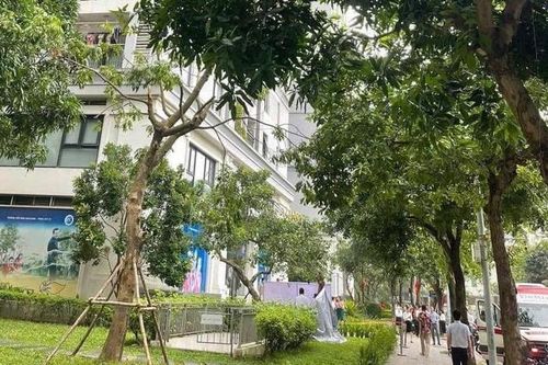 Hà Nội: Bé trai rơi từ tầng cao chung cư xuống đất, tử vong thương tâm