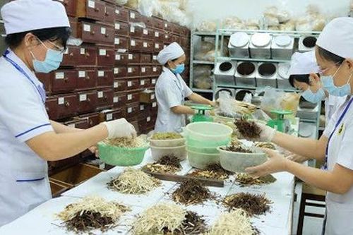 Bộ Y tế đề xuất những ai được kê đơn thuốc cổ truyền, thuốc dược liệu?