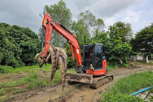 Làm thịt 125 con cá sấu để khỏi lo sổng chuồng trong bão