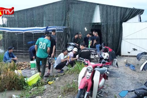 Đột kích sới bạc trong căn nhà nuôi gà ở giữa cánh đồng