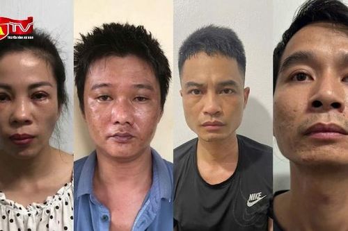 Triệt phá đường dây mua bán ma túy quy mô lớn