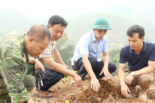 Tuyên Quang: Xuất hiện vết nứt lớn, di dời khẩn cấp nhiều hộ dân đến nơi an toàn