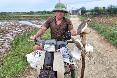 Hà Tĩnh: ban hành văn bản tăng cường quản lý, bảo vệ chim di cư