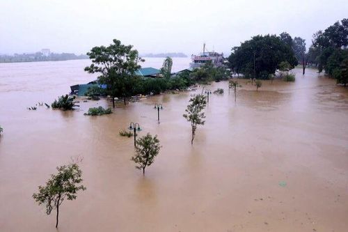 Lũ sông Thao lên cao, các địa phương chủ động ứng phó