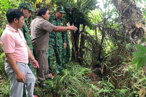 Quảng Nam di dời khẩn cấp 9 hộ dân xã biên giới trước nguy cơ lở núi