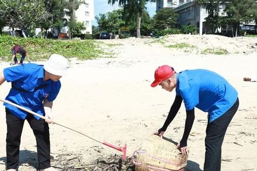 Hàng trăm sinh viên tham gia làm sạch biển tại TP. Vũng Tàu