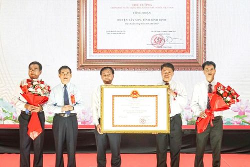 Quê hương khởi nghĩa Tây Sơn đón nông thôn mới