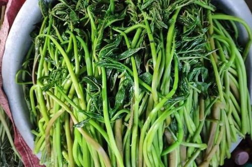 Loại rau mọc dại bất ngờ thành đặc sản 'hút khách', tốt cho gan