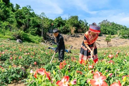 Phát huy vai trò người có uy tín trong vùng đồng bào dân tộc thiểu số ở Thái Nguyên