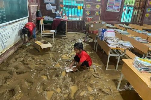 Hai huyện biên giới Nghệ An xuất hiện lũ ống, sạt lở đất trong đêm