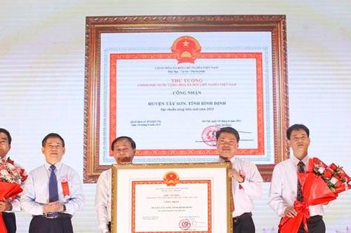 Phó Thủ tướng Hồ Đức Phớc dự lễ công bố huyện Tây Sơn đạt chuẩn nông thôn mới