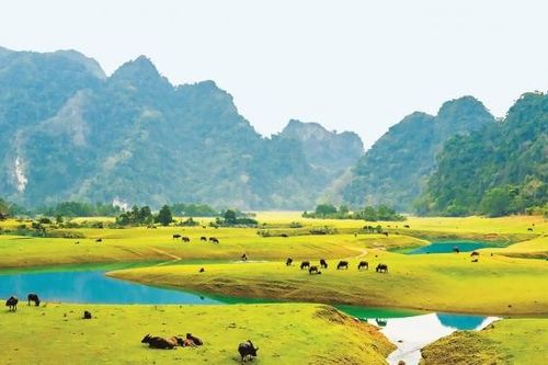 Đồng Lâm - Thảo nguyên xanh xứ Lạng