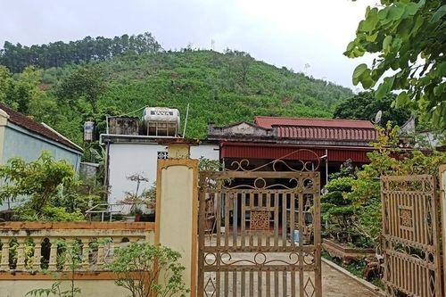 Hai vết nứt dài 380m trên đồi Vẽo đe dọa 139 hộ dân ở Ninh Bình