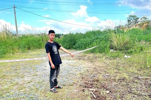 Làm ăn thua lỗ, 2 đối tượng đi trộm dây cáp điện bán 400 triệu đồng