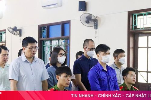 Giám đốc Kinh doanh Công ty CP Thương mại Hồng Hà và các đồng phạm lĩnh án