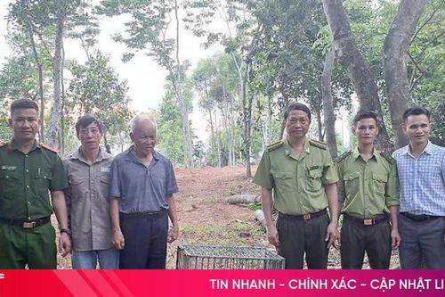 Bàn giao cá thể khỉ vàng cho Vườn Quốc gia Vũ Quang