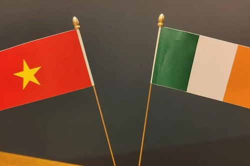 Thúc đẩy tiềm năng hợp tác Việt Nam-Ireland trong các lĩnh vực giáo dục, KHCN
