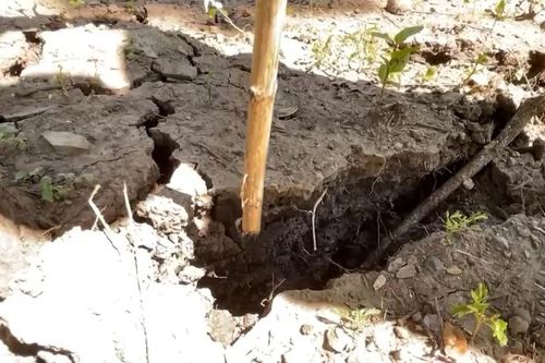 Thanh Hóa sơ tán khẩn cấp 25 hộ dân ra khỏi khu vực nguy cơ sạt lở đất