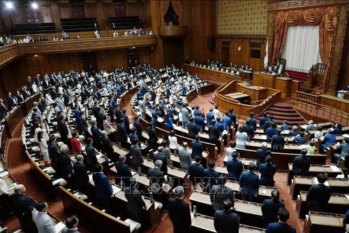 Chính phủ của Thủ tướng Nhật Bản Fumio Kishida đồng loạt từ chức