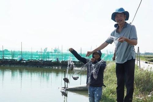 Nuôi con vật 'hiền như đất' mê bơi lội, anh nông dân kiếm 23 tỷ/năm rất nhẹ nhàng