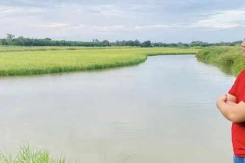 Thạc sĩ luật bỏ việc văn phòng về làm nông, nay có hợp tác xã thu nhập tiền tỷ