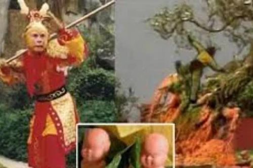 Trong 'Tây Du Ký', dù biết là quả quý nhưng vì sao Tôn Ngộ Không nhất định phải quật đổ cây Nhân Sâm của Trấn Nguyên đại tiên?