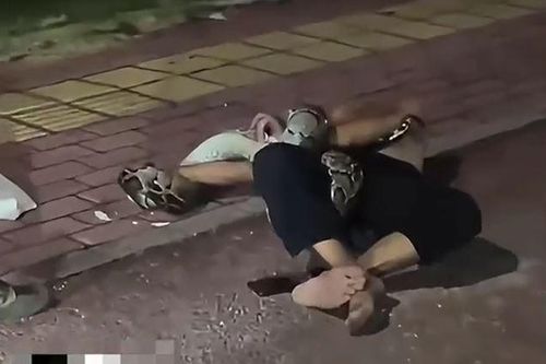 CLIP: Cái kết bất ngờ cho người đàn ông say rượu bị trăn 'khủng' siết chặt trên phố