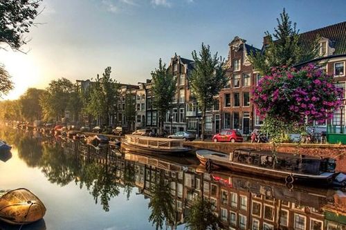 Bè nổi thực vật trên kênh Brussels, giải pháp bảo tồn đa dạng sinh học