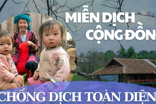 Hành trình nỗ lực đưa vắc xin về bản ở Điện Biên (bài 4)