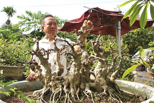 Phát triển sinh vật cảnh trở thành ngành kinh tế mũi nhọn