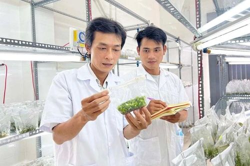 Gia Lai: Phấn đấu đến năm 2030, trí thức có trình độ đại học trở lên chiếm khoảng 77%