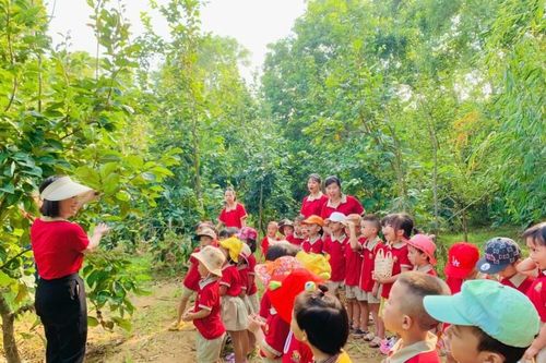 Trường Mầm non xã Hoàng Việt: Tiêu biểu trong chăm sóc, giáo dục trẻ