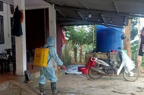 Tích cực khử trùng, tiêu độc môi trường để bảo vệ chăn nuôi