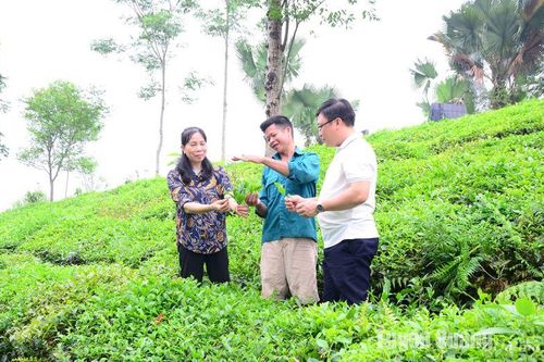 Sức dân ở Bến Đền