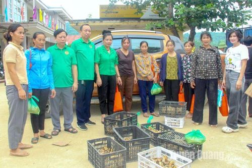 Hỗ trợ 5.000 con gà giống cho nông dân xã Hùng Lợi, Linh Phú