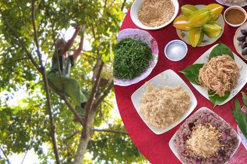 Nham trám - đặc sản trứ danh của Phú Bình