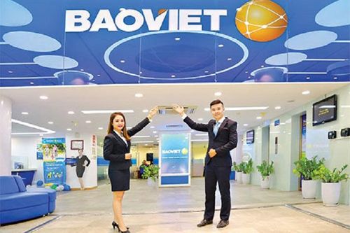 Bảo Hiểm Bảo Việt tạm ứng hàng chục tỷ đồng bồi thường cho khách hàng bị thiệt hại bởi bão Yagi