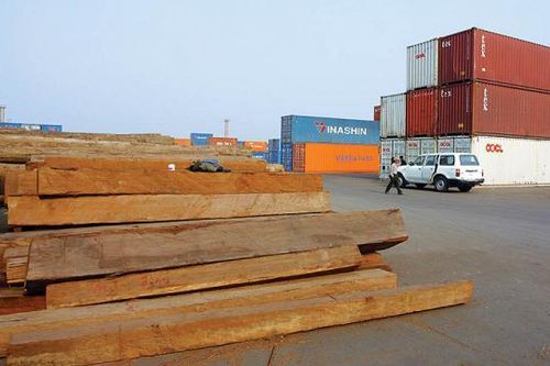Sửa đổi quy định Hệ thống bảo đảm gỗ hợp pháp Việt Nam