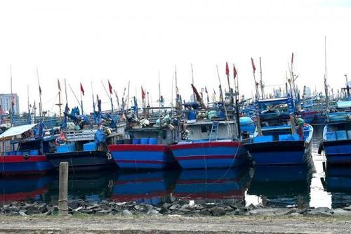 Đà Nẵng: Chi hơn 130 tỷ đồng cải tạo hệ thống thoát nước và thu gom nước thải tại Âu thuyền Thọ Quang và quận Ngũ Hành Sơn