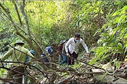 Nguy cơ mất hàng trăm hecta đất rừng phòng hộ tại huyện Xuân Lộc, Đồng Nai